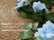 5Pcs 32.5FT Blue Rose Garland Fake Flower Vines Faux Artificial Floral Garland Hanging Rose Ivy for Wedding Arch Garden Ceremony Background Valentine's Day Outdoor Wall Decor